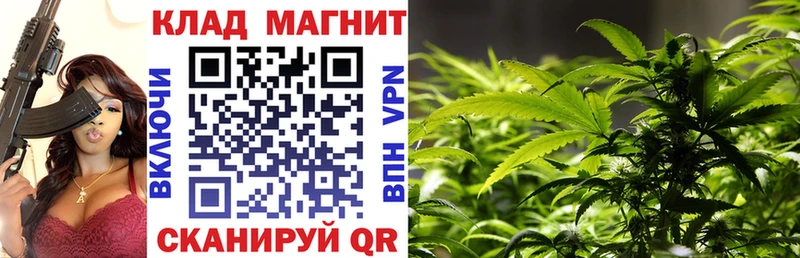 Где купить Киров гидра ONION  Меф мяу мяу  КОКАИН  ГАШИШ  Каннабис  A-PVP 