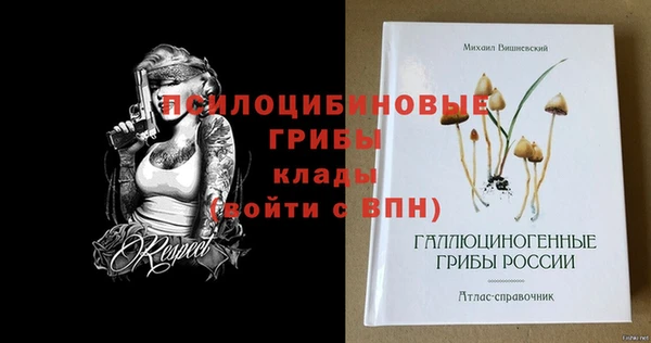 дурь Магадан