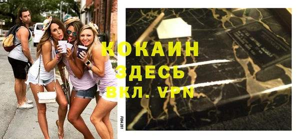 хмурый Мегион