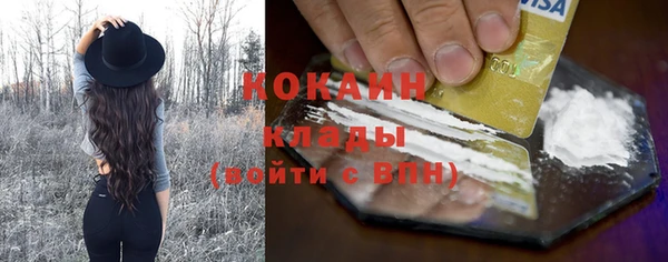 хмурый Мегион