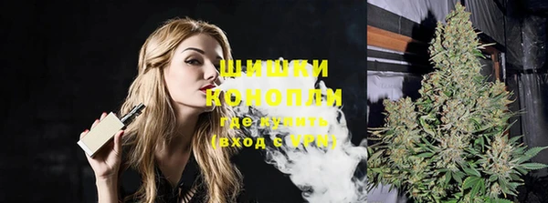 спиды Чекалин