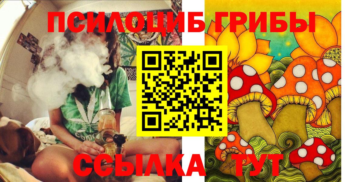 Псилоцибиновые грибы Psilocybe Киров