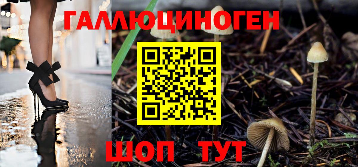 даркнет сайт  Вход с VPN  Киров  Галлюциногенные грибы мухоморы 